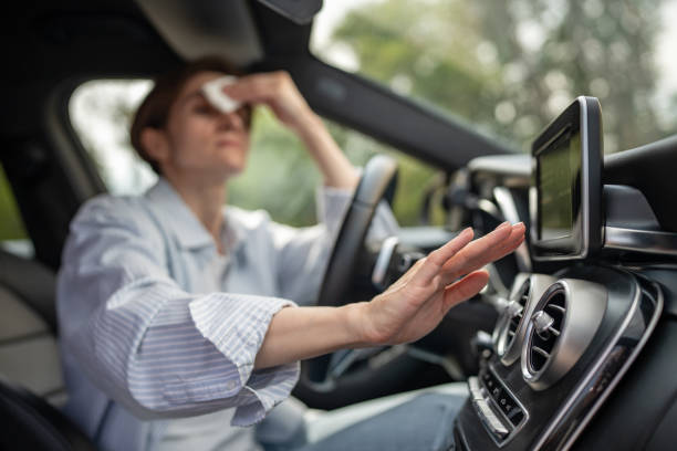 Best Thermostats and Smart Controls in Bayou La Batre, AL